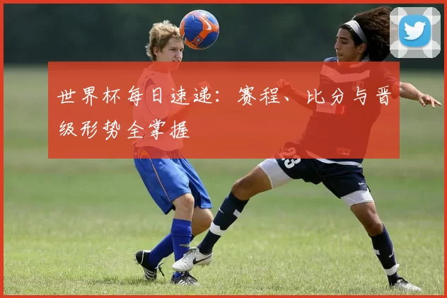 世界杯每日速递:赛程、比分与晋级形势全掌握
