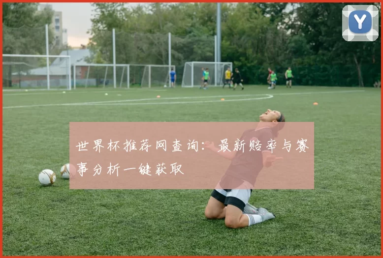 世界杯推荐网查询：最新赔率与赛事分析一键获取