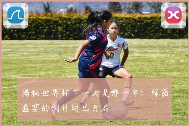 揭秘世界杯下一次是哪一年：绿茵盛宴的倒计时已开启