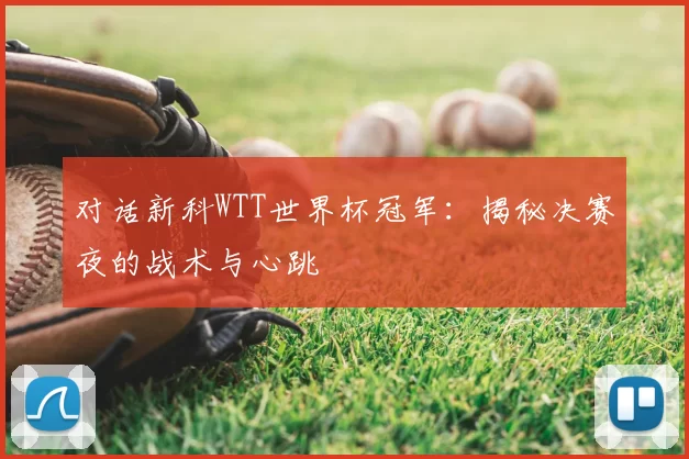 对话新科WTT世界杯冠军：揭秘决赛夜的战术与心跳