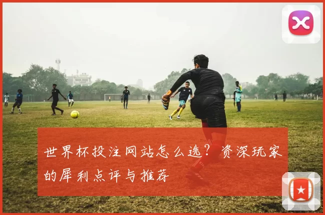 世界杯投注网站怎么选？资深玩家的犀利点评与推荐