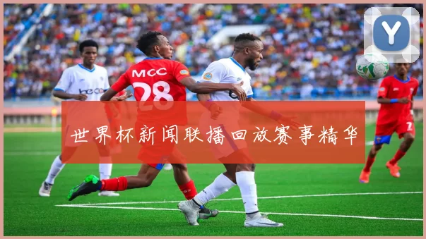 世界杯新闻联播回放赛事精华