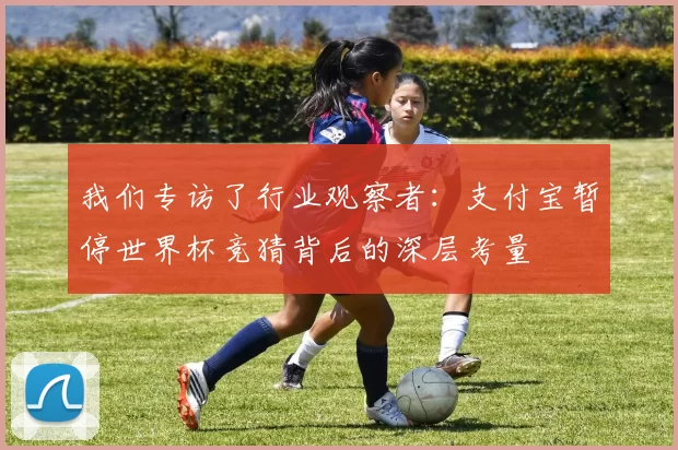 我们专访了行业观察者:支付宝暂停世界杯竞猜背后的深层考量
