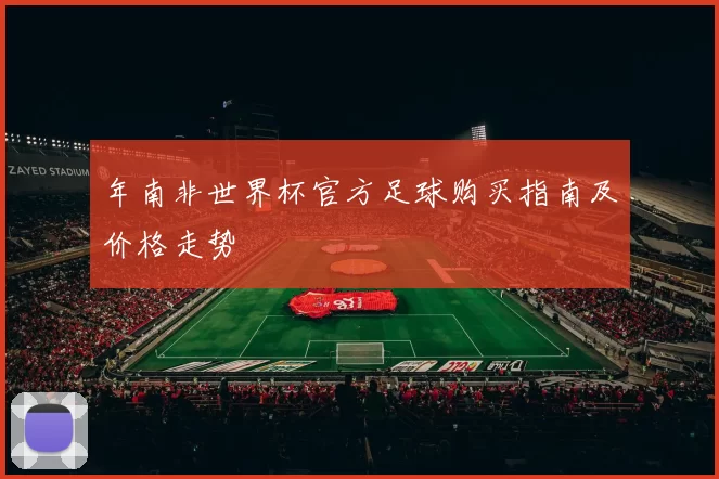 年南非世界杯官方足球购买指南及价格走势