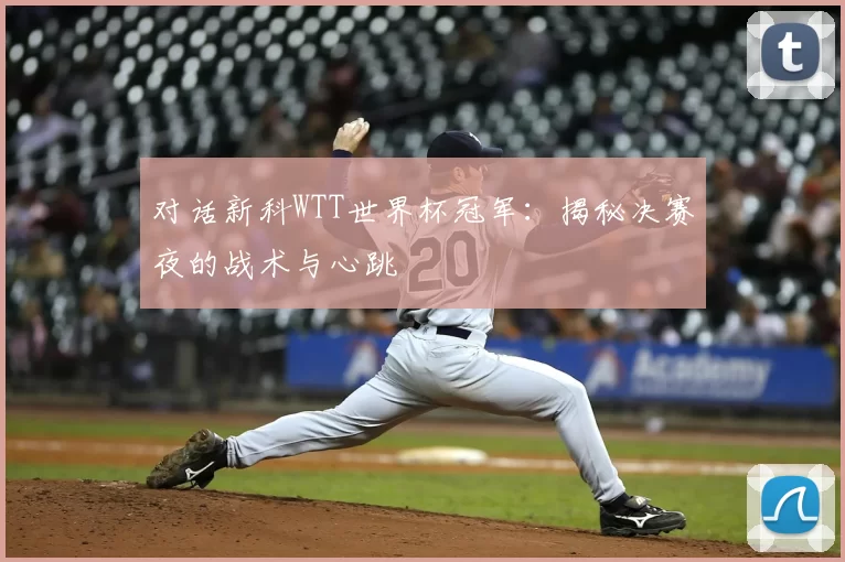 对话新科WTT世界杯冠军：揭秘决赛夜的战术与心跳