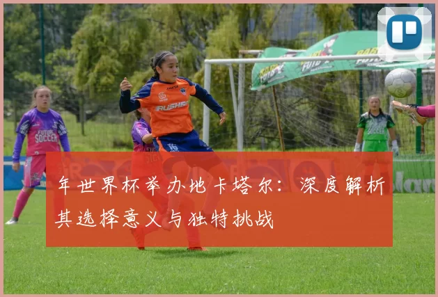 年世界杯举办地卡塔尔：深度解析其选择意义与独特挑战